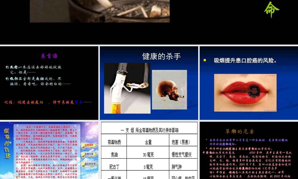 远离烟草_珍爱生命