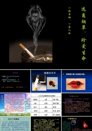 远离烟草_珍爱生命