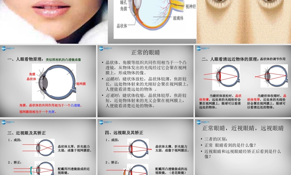 中学八年级物理上册 5.4 眼睛和眼镜课件 (新版)新人教版 课件