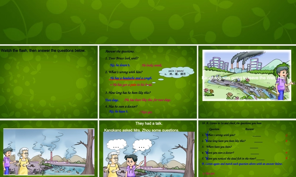 九年级英语上册 Unit 2 Topic 1 Pollution has causes too many problems Section B课件 (新版)仁爱版 课件