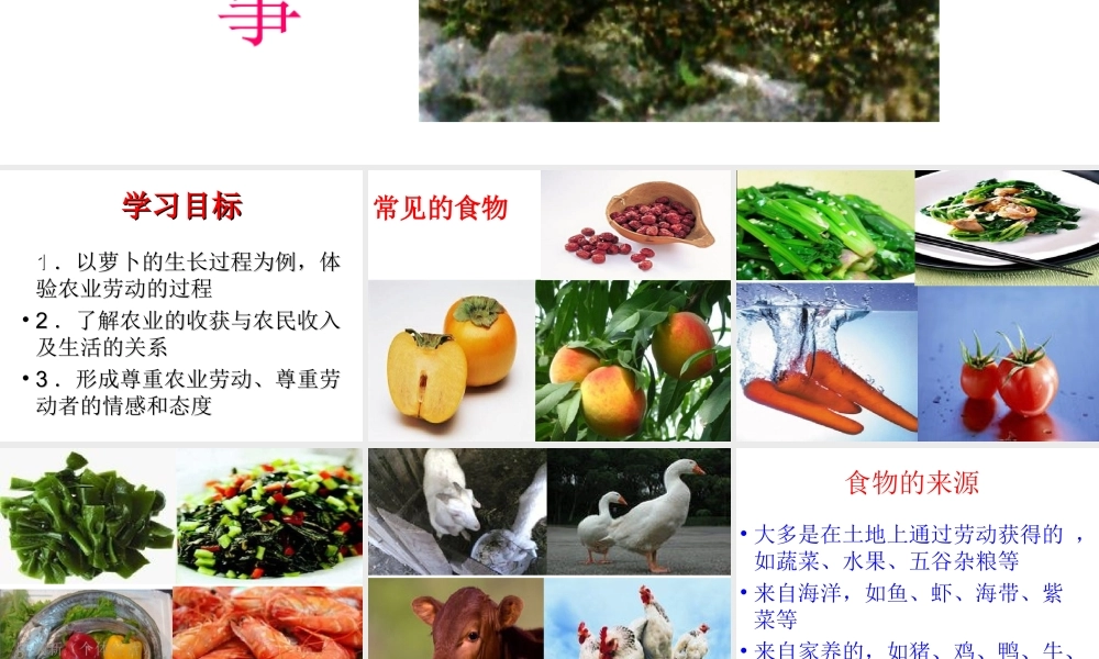 课件《萝卜的故事》