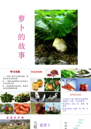 课件《萝卜的故事》