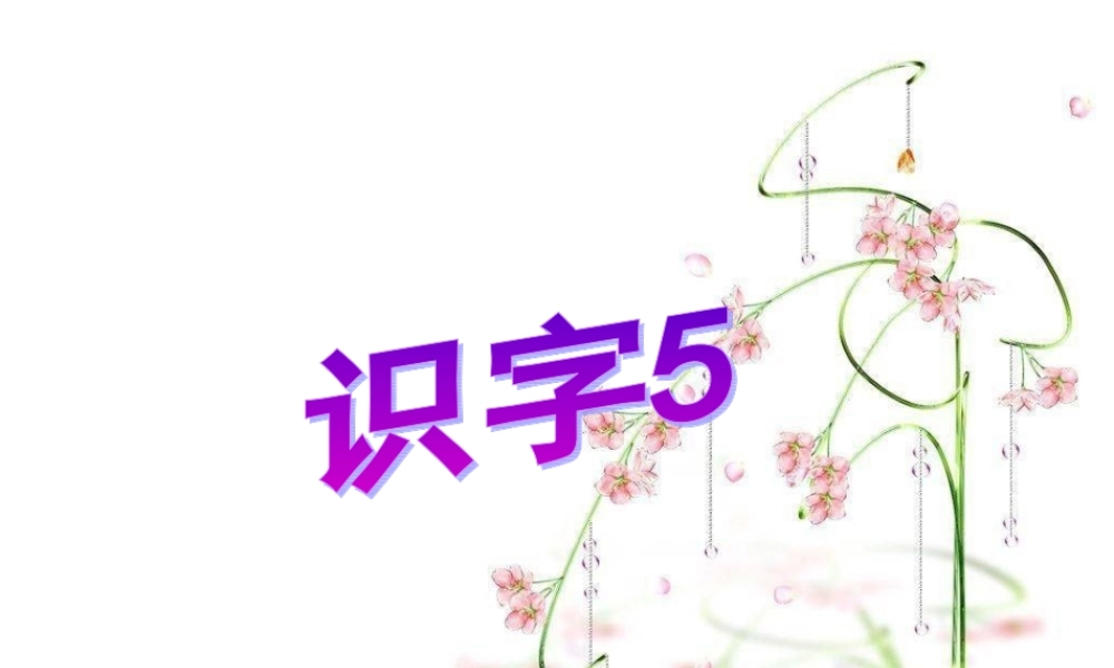 《识字5》课件4