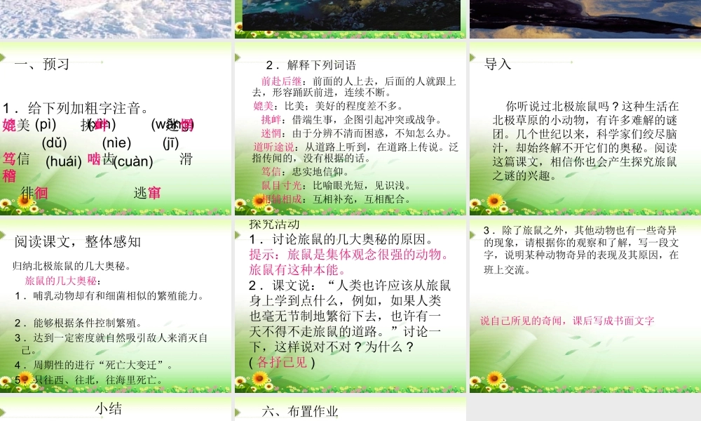 八年级语文旅鼠之谜 ppt新人教版 课件