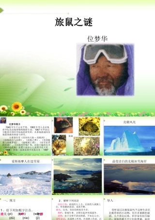 八年级语文旅鼠之谜 ppt新人教版 课件