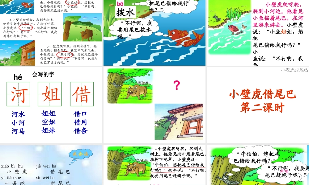 小壁虎借尾巴_两课时[1]
