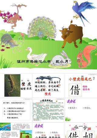 小壁虎借尾巴_两课时[1]