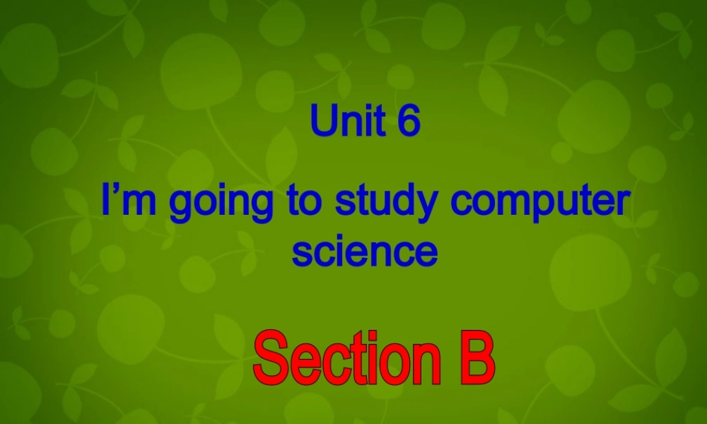 八年级英语上册 Unit 6 I m going to study computer science Section B课件 (新版)人教新目标版 课件