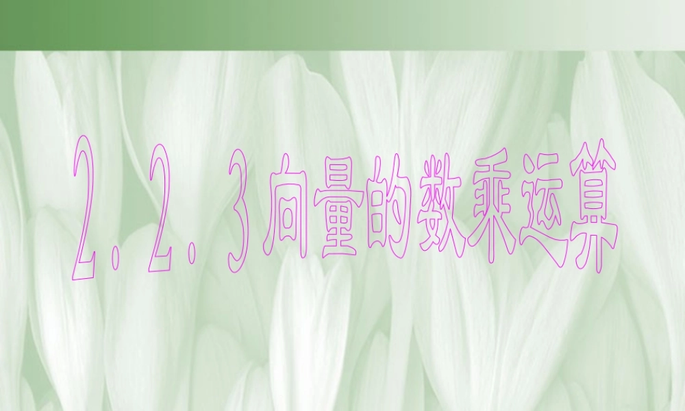 广东省高一数学第二章 向量的数乘运算 必修4  0 课件