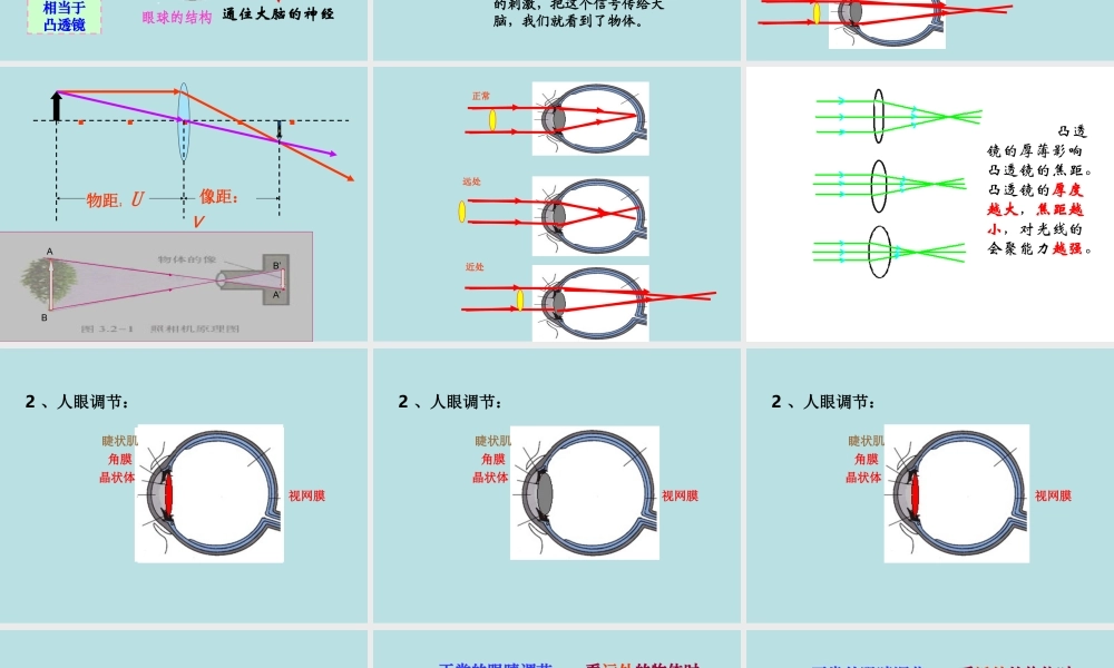 八年级物理眼睛和眼镜