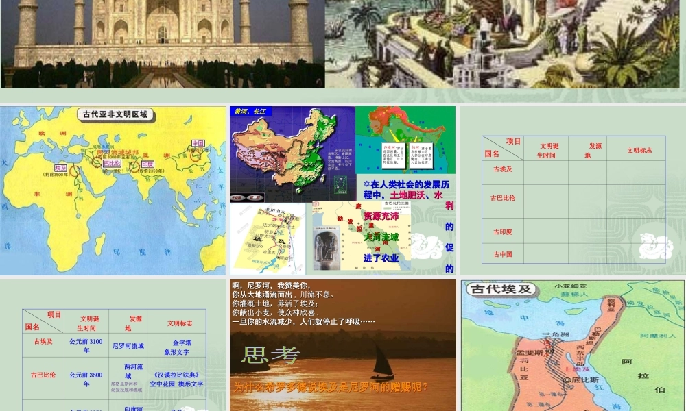 八下世界历史第17课大河流域的文明曙光