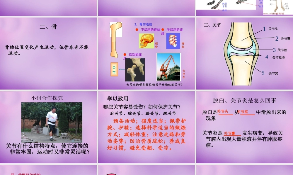 八年级生物上册 第五单元 2.1 动物的运动课件 (新版)新人教版 课件