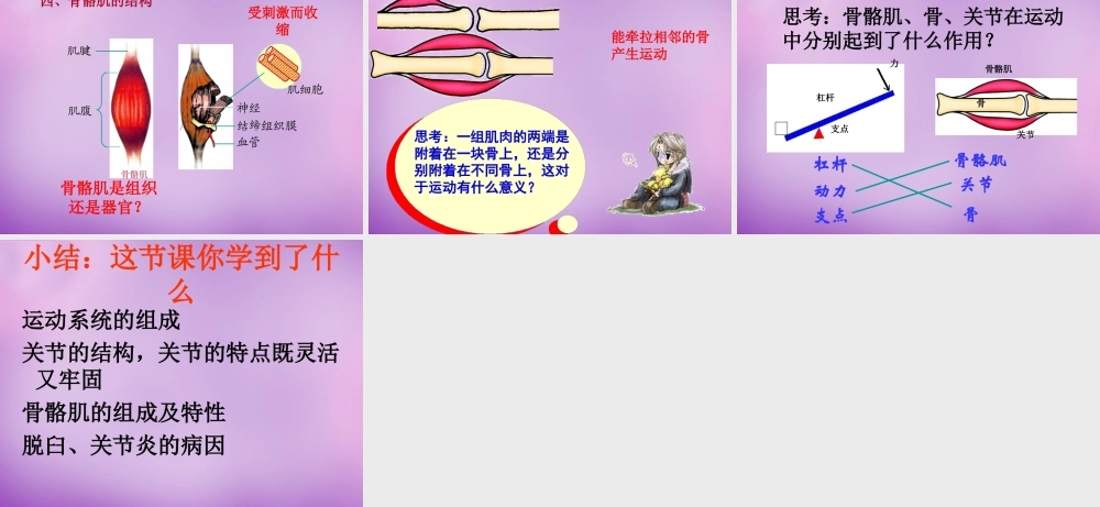 八年级生物上册 第五单元 2.1 动物的运动课件 (新版)新人教版 课件