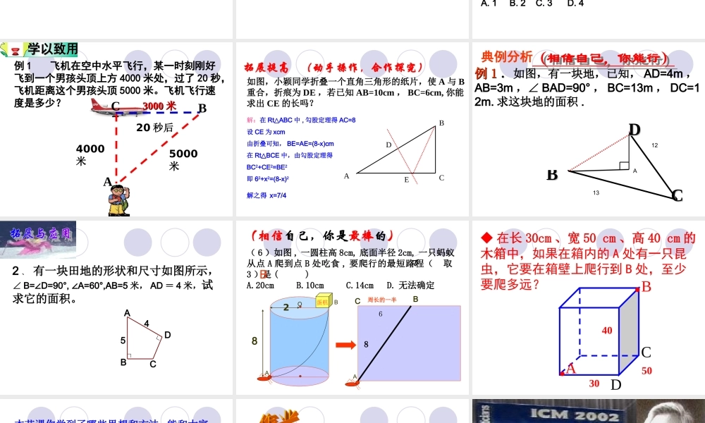 勾股定理及其应用复习
