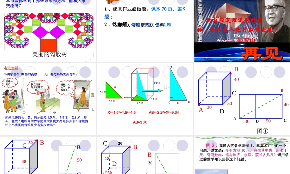勾股定理及其应用复习