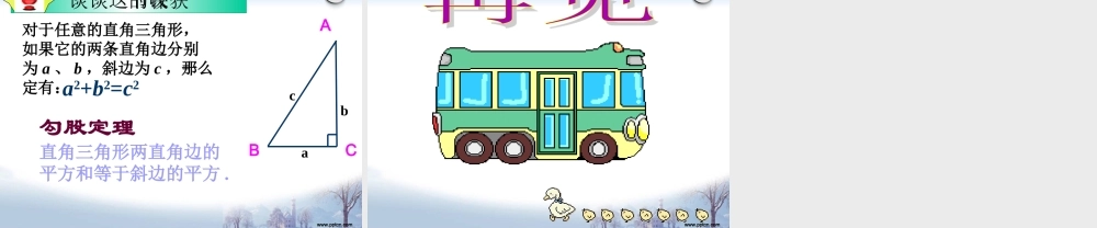 八年级数学下141探索勾股定理课件华师大版 课件