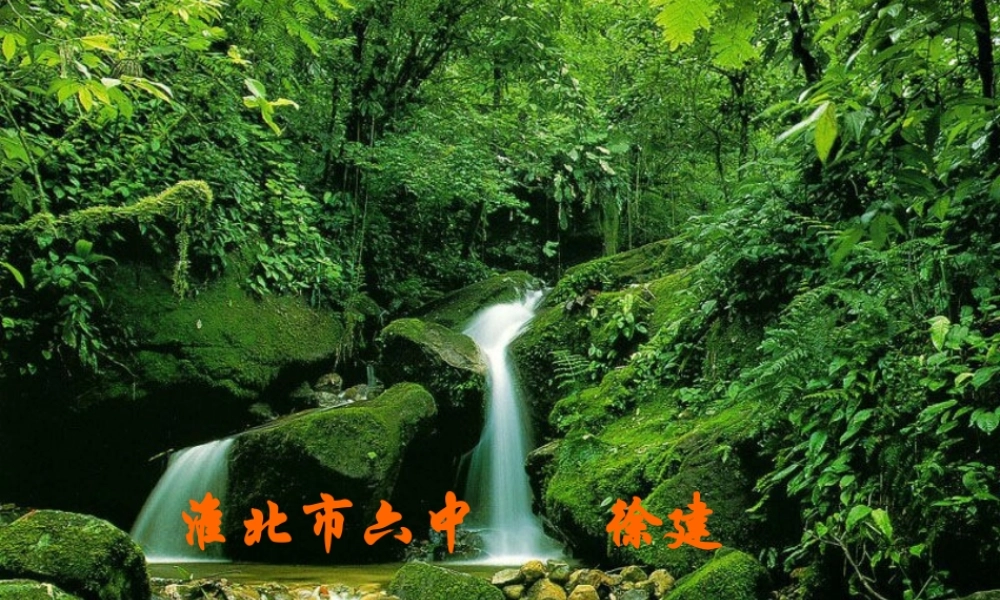 八年级语文水调歌头课件