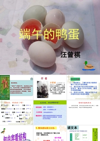 《端午的鸭蛋》课件[1](新)