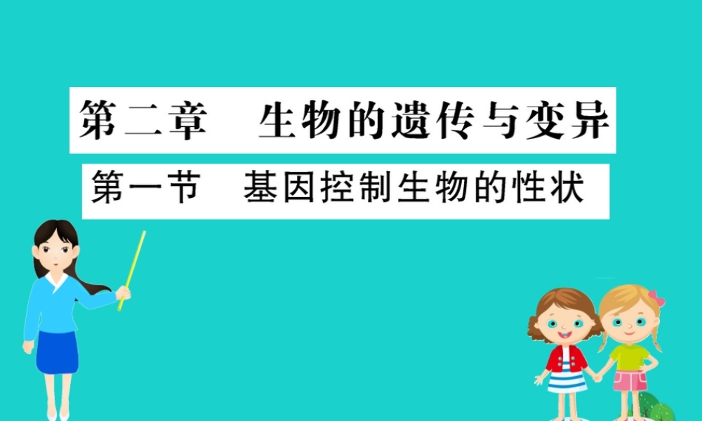 八年级生物下册 7.2.1 基因控制生物的性状习题课件(新版)新人教版 课件