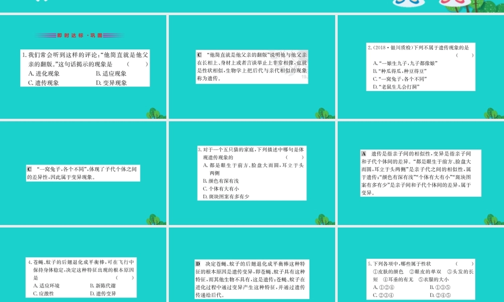 八年级生物下册 7.2.1 基因控制生物的性状习题课件(新版)新人教版 课件