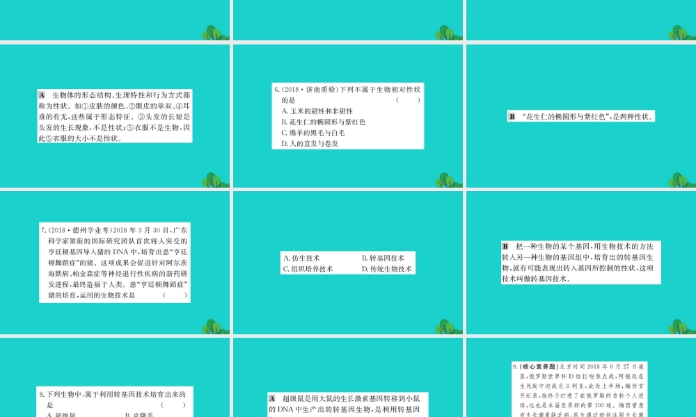 八年级生物下册 7.2.1 基因控制生物的性状习题课件(新版)新人教版 课件