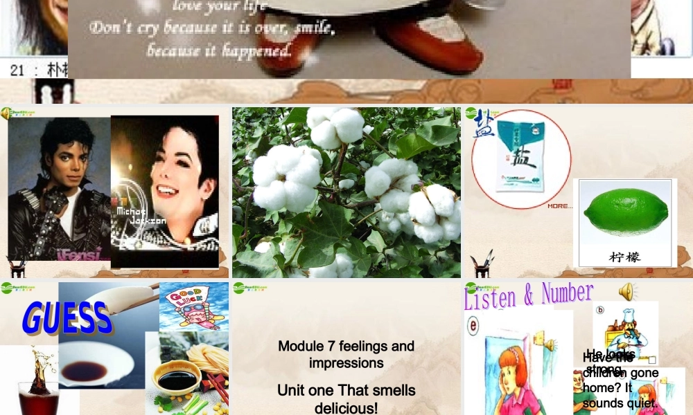 八年级英语上册 Module 7feelings and impressions作课课件 外研版 课件