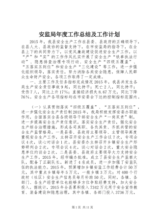 安监局年度工作总结及工作计划