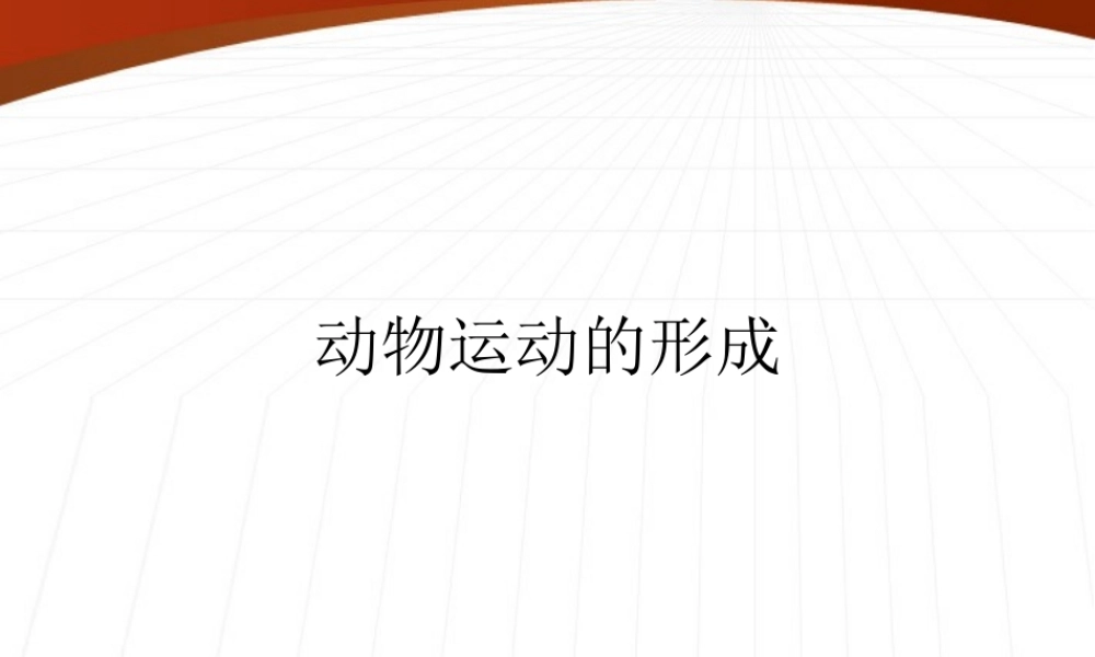 八年级生物上册 动物运动的形成课件 北师大版 课件