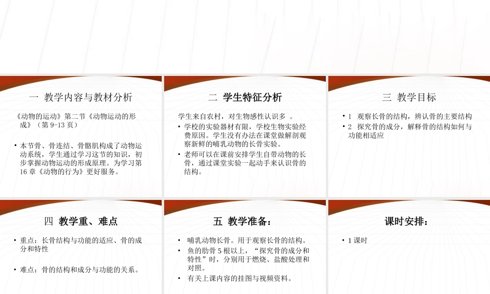 八年级生物上册 动物运动的形成课件 北师大版 课件