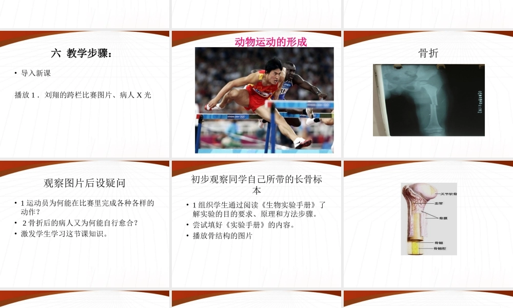 八年级生物上册 动物运动的形成课件 北师大版 课件