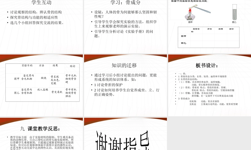 八年级生物上册 动物运动的形成课件 北师大版 课件
