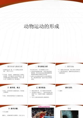 八年级生物上册 动物运动的形成课件 北师大版 课件