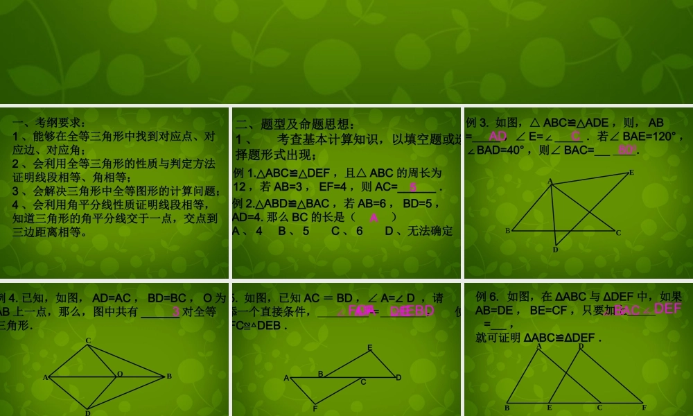 八年级数学上册 11 全等三角形课件 新人教版 课件