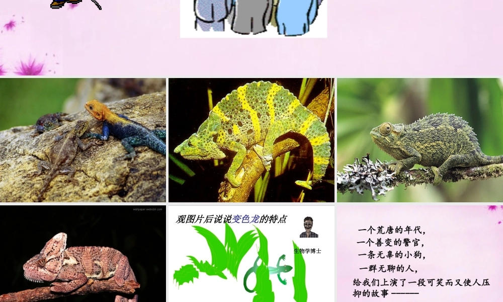 九年级语文下册 27(变色龙)教学课件 新人教版 课件