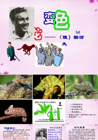 九年级语文下册 27(变色龙)教学课件 新人教版 课件
