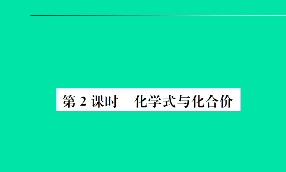 中考化学总复习 第四单元 自然界的水 第2课时 化学式与化合价课件