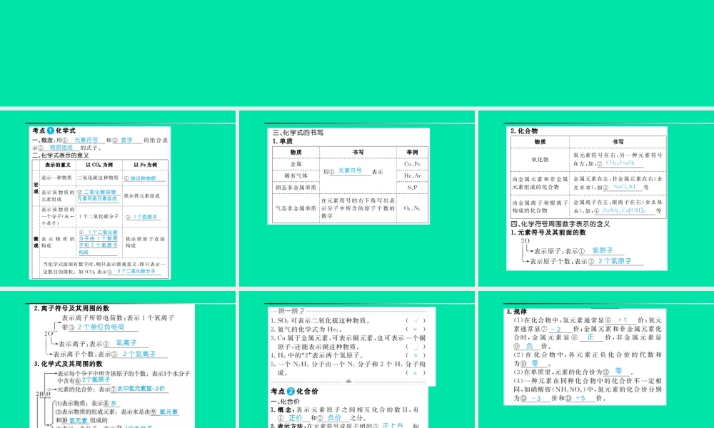 中考化学总复习 第四单元 自然界的水 第2课时 化学式与化合价课件