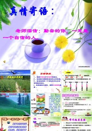 八年级生物下册 食物链和食物网课件 济南版 课件