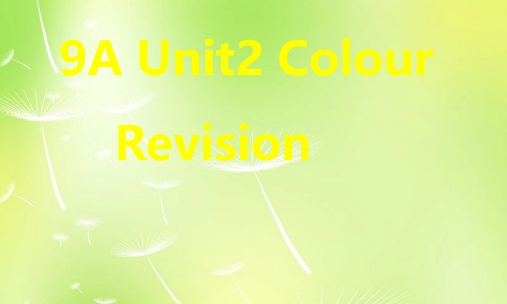 九年级英语上册 Unit 2 colour Revision课件 (新版)牛津版 课件