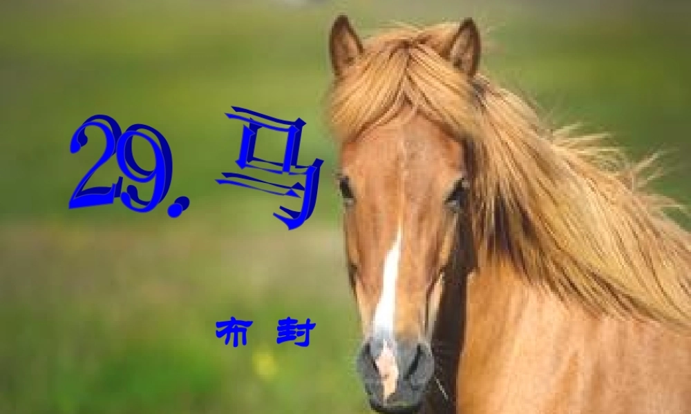 中学七年级语文下册 6.29(马)课件2 (新版)新人教版 课件