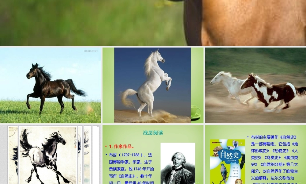 中学七年级语文下册 6.29(马)课件2 (新版)新人教版 课件