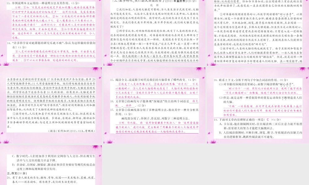 九年级语文下册 第五单元综合测试卷课件 语文版 课件