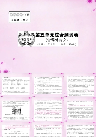 九年级语文下册 第五单元综合测试卷课件 语文版 课件