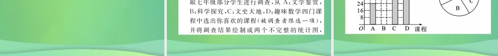 中考数学复习 第8章 统计与概率 第27课时 数据的收集与整理(精练)课件