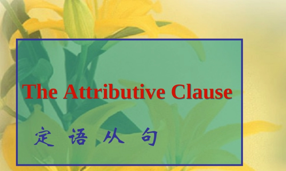 九年级英语中考语法 定语从句课件