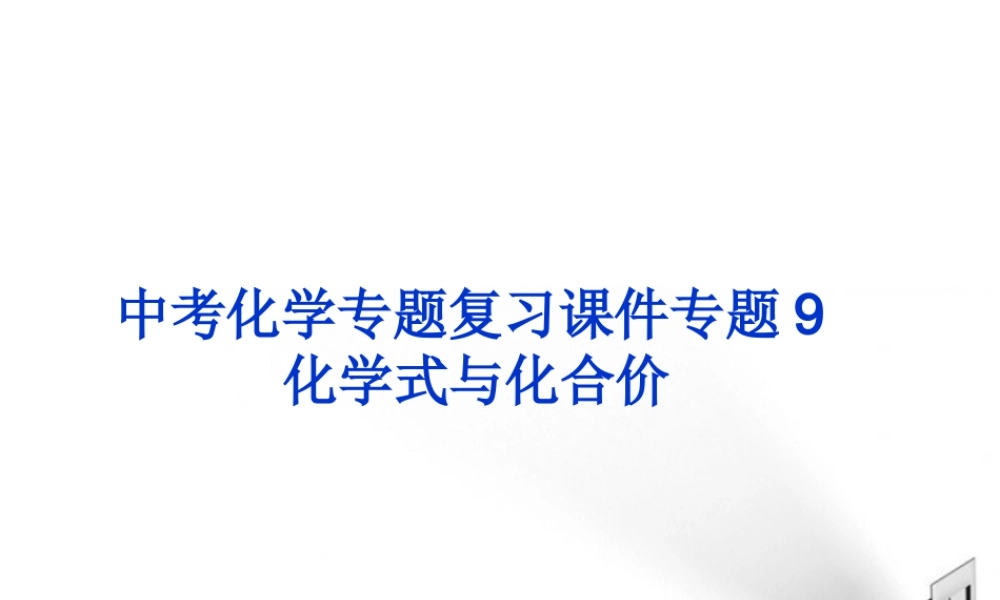 中考化学 专题9化学式与化合价复习课件