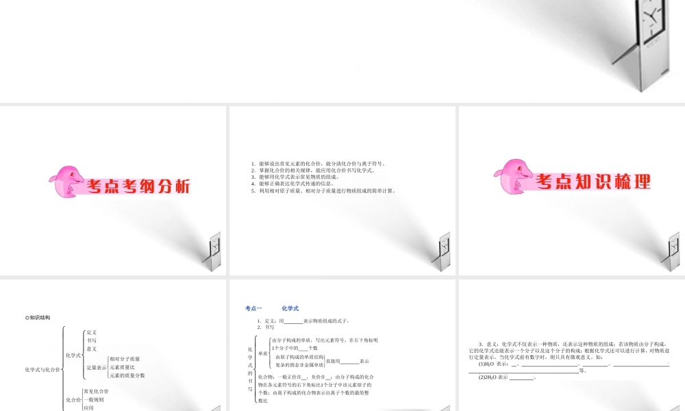 中考化学 专题9化学式与化合价复习课件