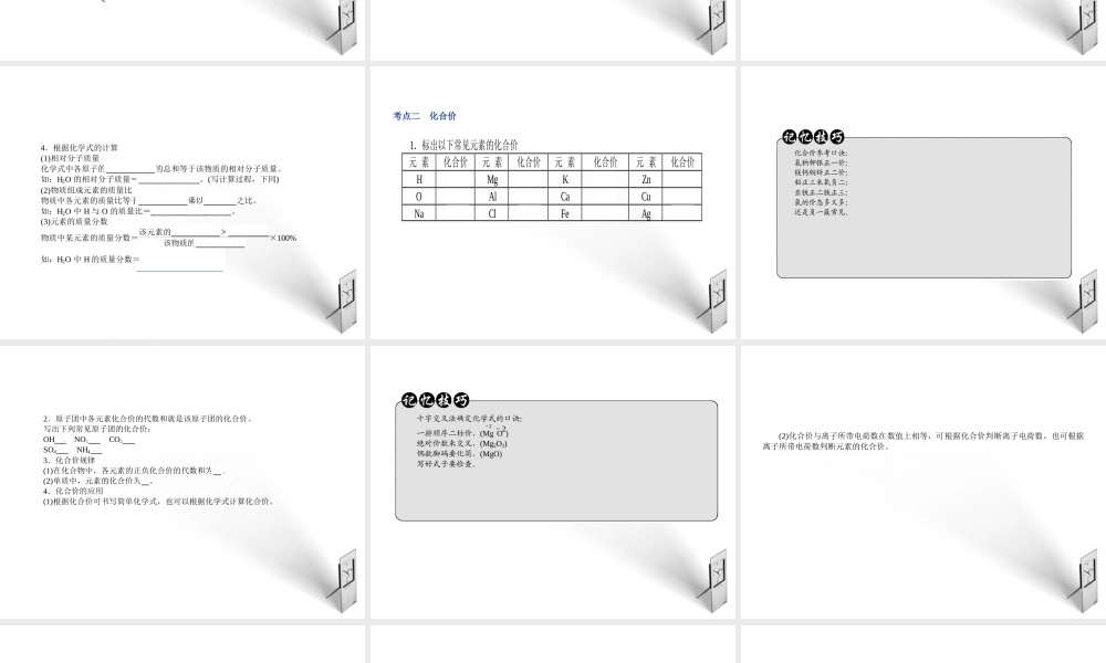 中考化学 专题9化学式与化合价复习课件