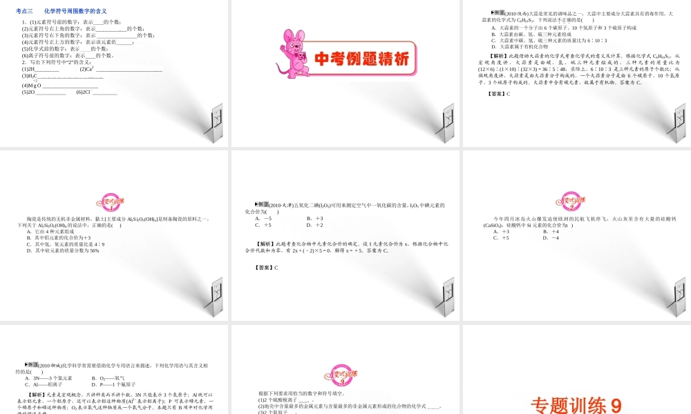 中考化学 专题9化学式与化合价复习课件
