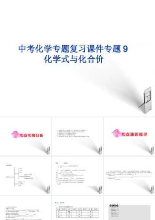 中考化学 专题9化学式与化合价复习课件